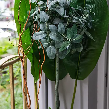 Szeroka Old Town - Billberry Apartamento *