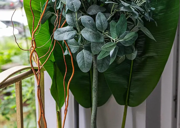 Szeroka Old Town - Billberry Apartamento *